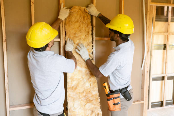 Best Blown-In Insulation  in Jasmine Estates, FL