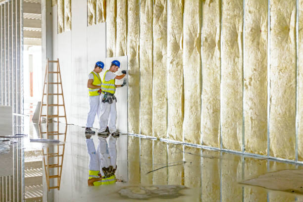 Best Attic Insulation Installation  in Jasmine Estates, FL